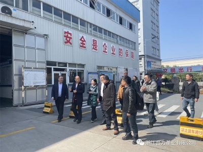 麗水市市場監督管理局、浙江省皮革廠行業協會、嘉興學院及浙江省標準化研究院領導蒞臨我司指導工作